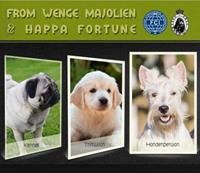 From Wenge Majolien