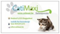 CatiMaxi