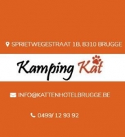 Kamping Kat
