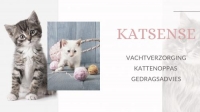 KATSENSE